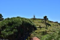 Wanderung im Nordesten - Cueva de Buracas - Gofio-Mühle