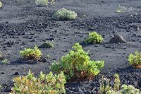 Wanderung am Teneguia Vulkan an der Südspitze La Palmas