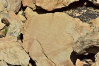 Roque Teneguia - Felsritzungen der Ureinwohner