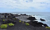 Salinas de Fuencaliente 