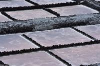 Salinas de Fuencaliente