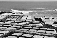 Salinas de Fuencaliente