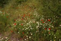 der Mai war dieses Jahr regnerisch