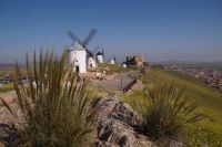 Espartogras (Rohstoff für Körbe, Schuhsohlen etc.) vor den Mühlen von Consuegra und der Johanniterfeste Castillo de la Muela