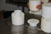 Der Manchego muss in Form gebracht und gepresst werden