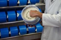 Seinen Stempel erhält der Manchego relativ früh während des Elaborationsprozesses