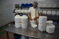 Wenn der Manchego ausreichend lange in der Form war, kann er in die Salzlake