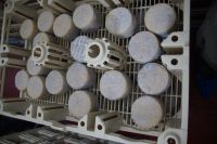 Durch den Schimmel verdunstet der Manchego. Die Schimmelblüte wird später abgeputzt