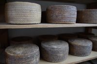 Käse in der Reifekammmer