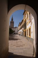 Der berühmte Blick auf die Giralda