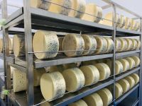 Queso de Cabrales.jpg