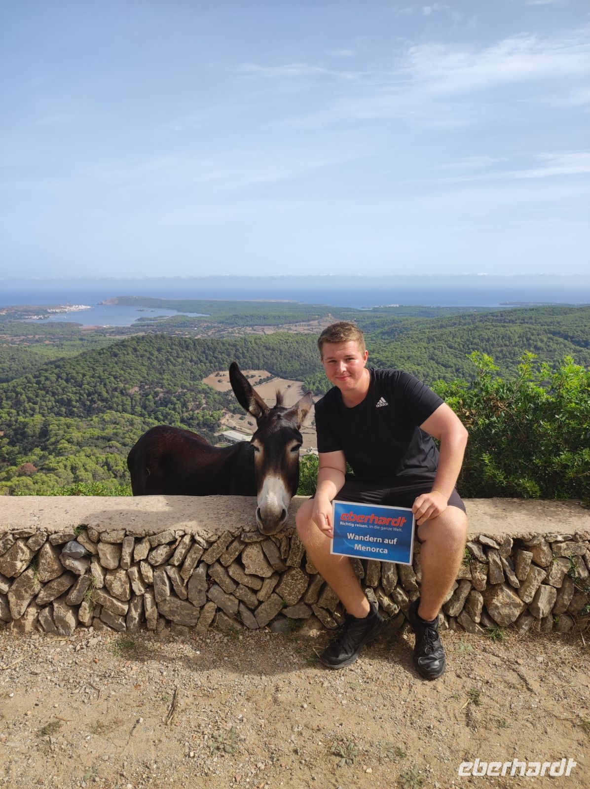 Mein Freund der Esel