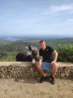 Mein Freund der Esel