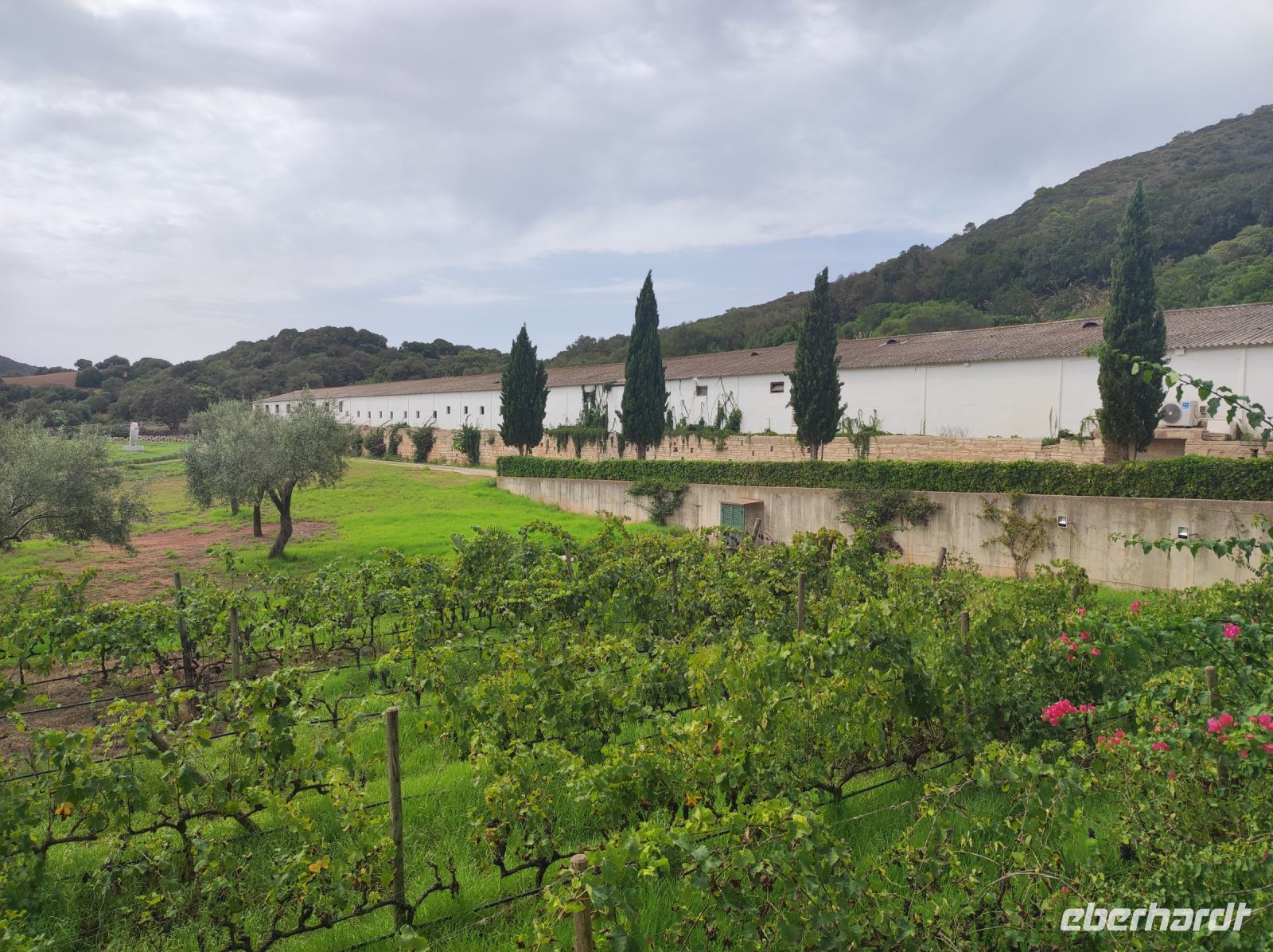 Hort Sant Patrici - Käserei