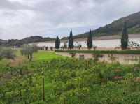 Hort Sant Patrici - Käserei