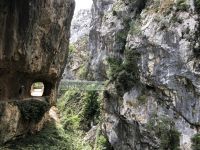 Brücken über die Schlucht