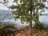 Herbstliche Kulisse in Banyoles