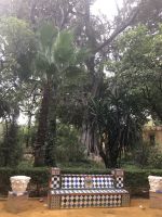 Sevilla Park Barrio Santa Cruz