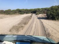 Donana-Nationalpark Sandpiste