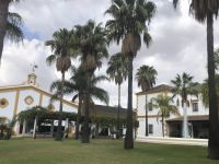 Jerez de la Frontera Bodega