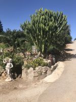 Eingang zu Juanitos Finca