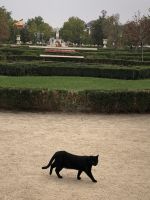 Aranjuez