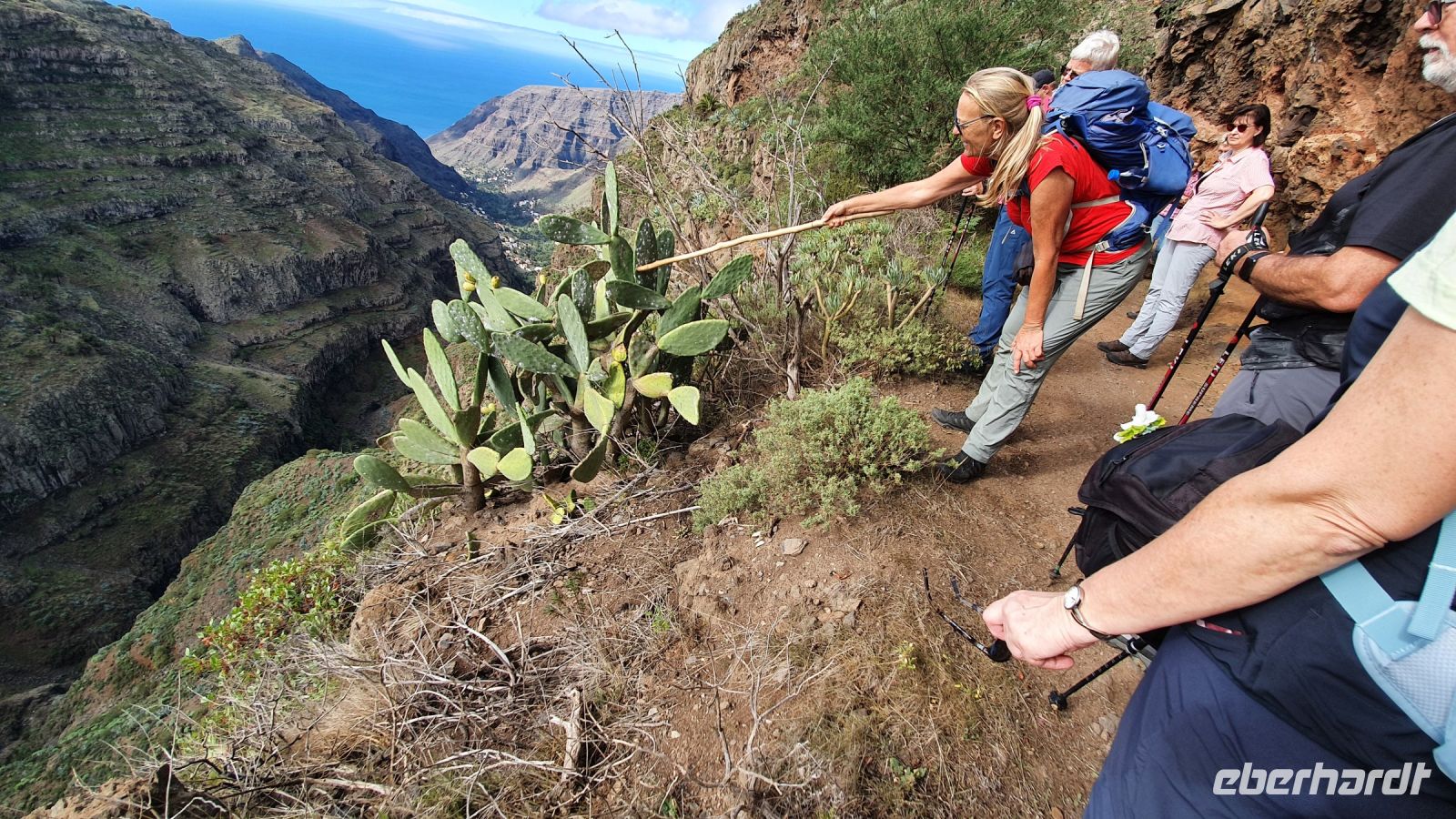 Wanderführerin Ulrike zeigt uns die Cochinille Läuse an den Kaktusfeigen