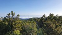 La Gomera, Blick zum Teide vom Inselinneren