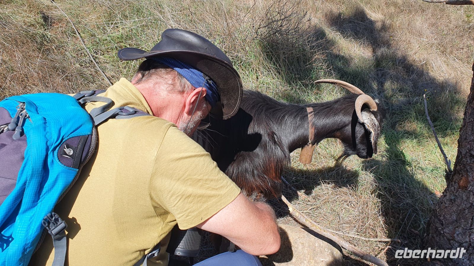 Rettung eines Ziegenbocks