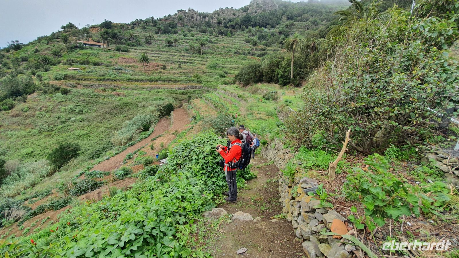 La Gomera, Wanderung im Norden durch Kulturlandschaft