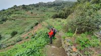 La Gomera, Wanderung im Norden durch Kulturlandschaft