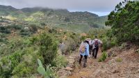 La Gomera, Wanderung im Norden
