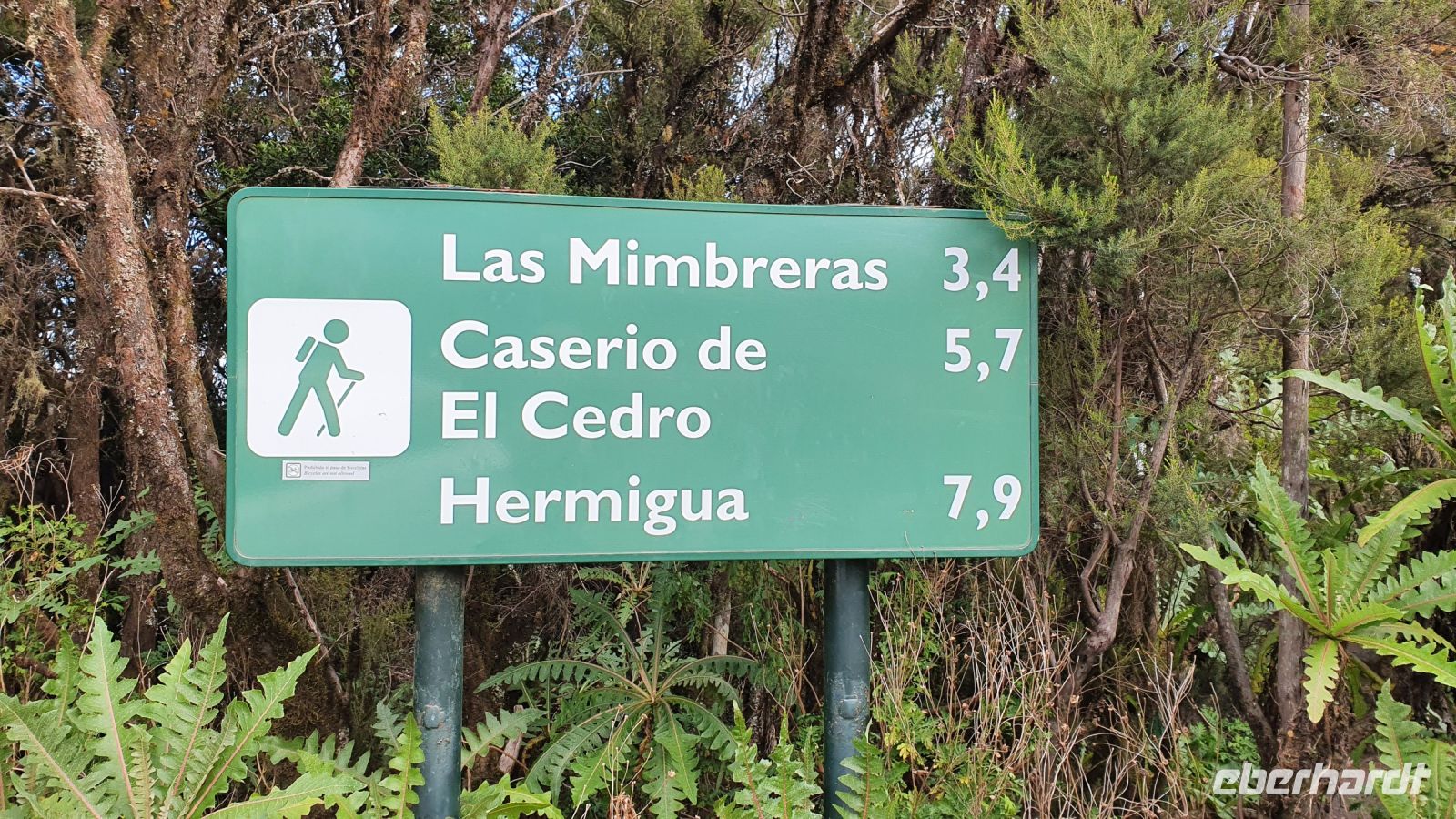 La Gomera, Wanderung El Cedro