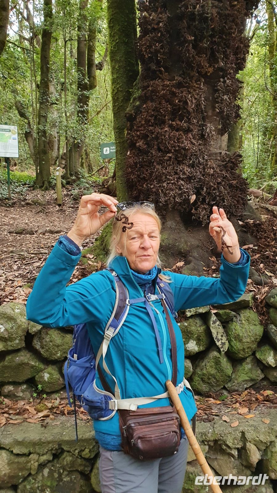 Wanderung El Cedro, Wanderleiterin Ulrike zeigt uns Lorbeer Pilze