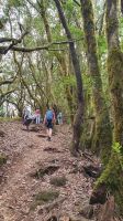 Wanderung El Cedro