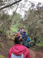 Wanderung im wilden Nordens Teneriffas
