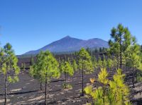 Blick auf den Teide