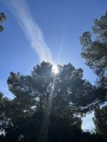 Sommergefühle an der Drachenhöhle