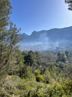 Aussicht bei der Zugfahrt mit dem roten Blitz