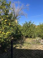 Aussicht bei der Zugfahrt mit dem roten Blitz