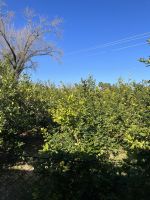 Aussicht bei der Zugfahrt mit dem roten Blitz