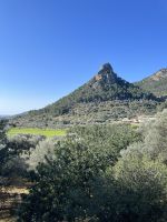 Aussicht bei der Zugfahrt mit dem roten Blitz