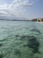 Strand von Port d´Alcudia
