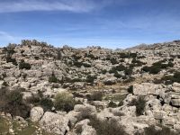 Torcal 