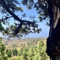 Aussicht auf dem Weg ins Pinar