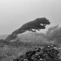 In der Nähe von Sabinar
