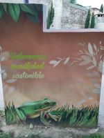 Überall Frösche in Salamanca