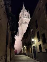 Kathedrale von Salamanca