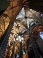 Barcelona: Kathedrale von Barcelona innen