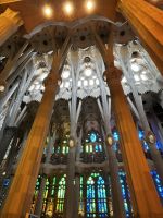Barcelona: Sagrada Familia von innen 